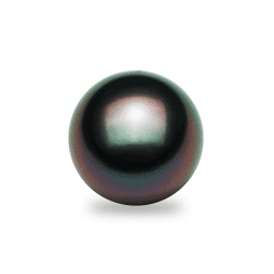 Tahitian Pearls